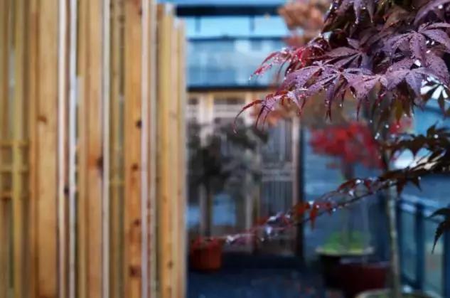 黄山徽派美学民宿,黄山最美徽派民宿