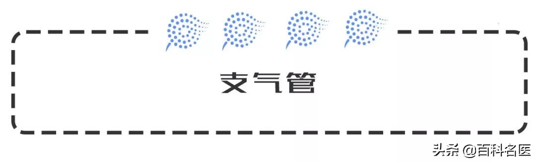 老慢支慢性支气管炎能治好吗,老慢支是慢性支气管炎吗