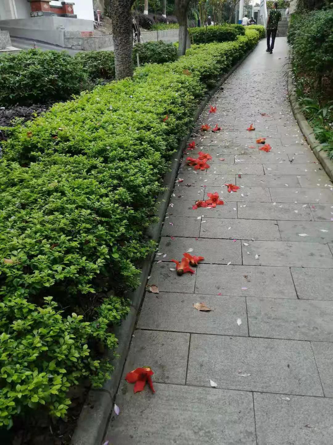 柳州印象,柳州初见酒店