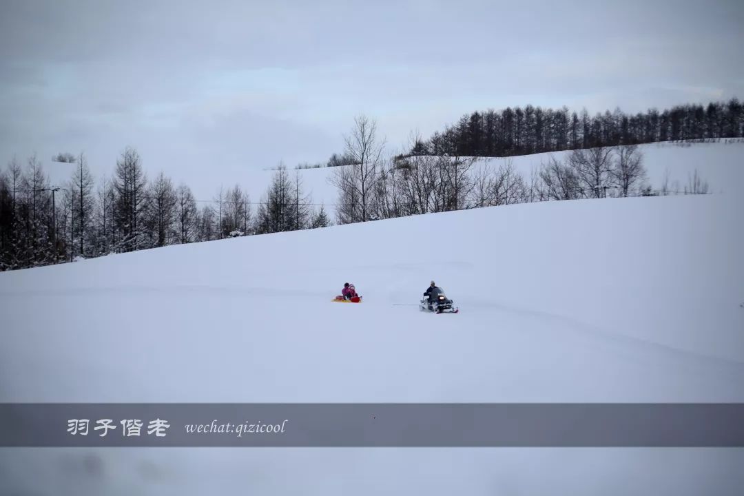 日本10天自由行费用北海道,东京北海道5日自由行攻略