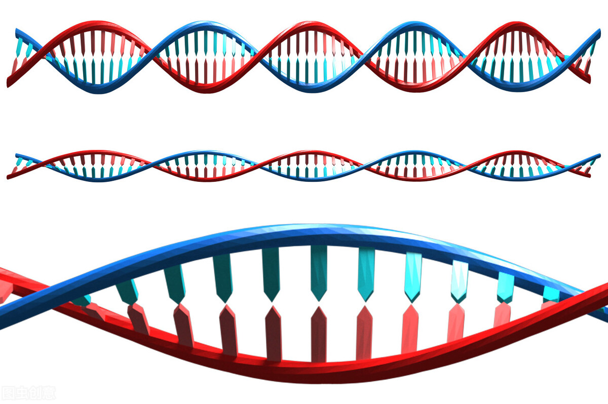 60岁阿姨被缝线针戳破膝盖,引发感染,住院治疗1个月