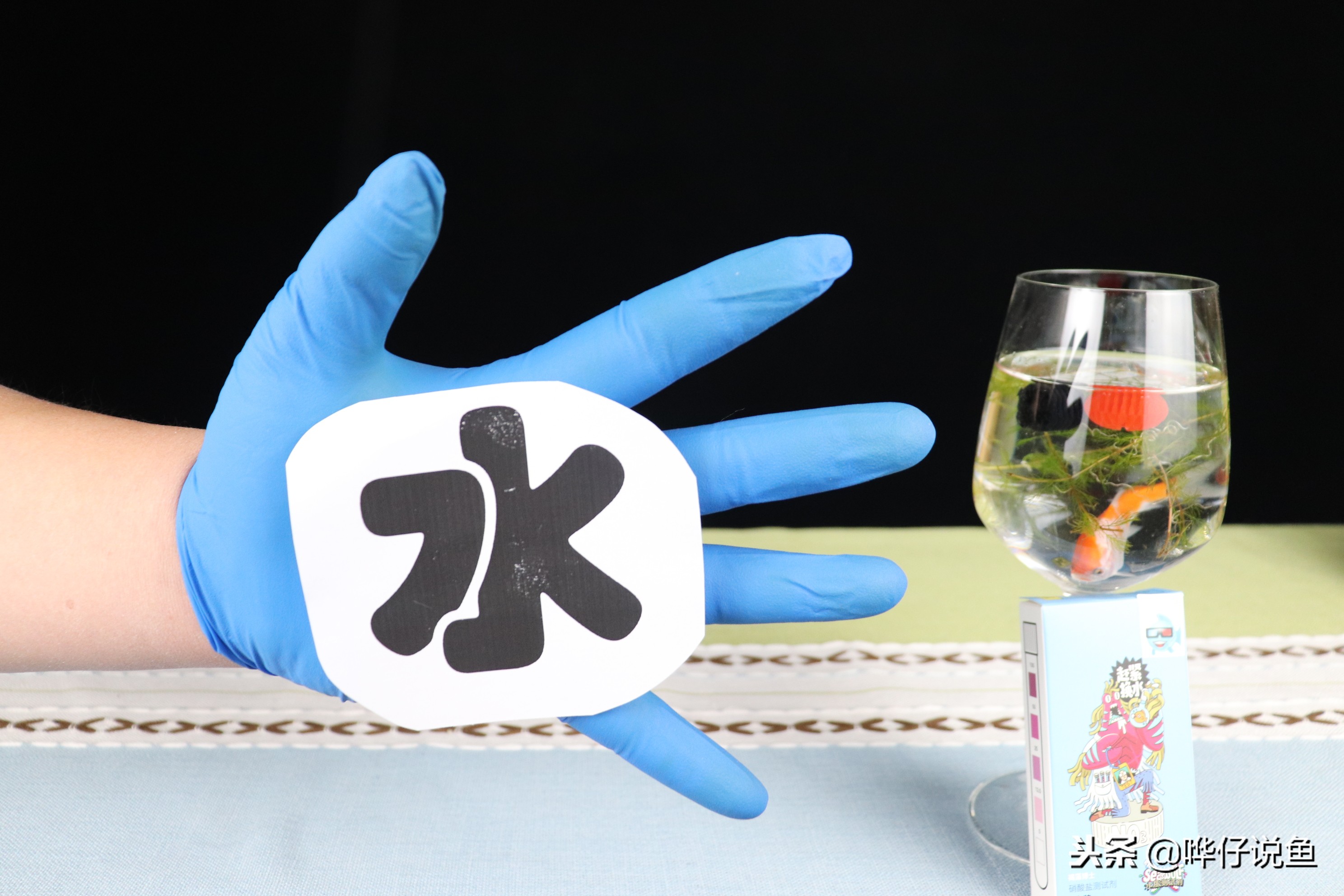 自家的鱼缸两三年没放水会臭吗,鱼缸可以一年不换水吗