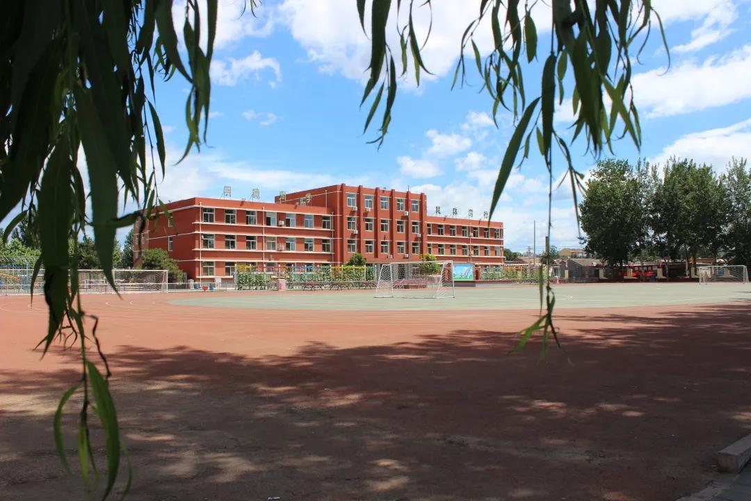 最美校园获奖照片,喜报学校荣获全面优胜单位