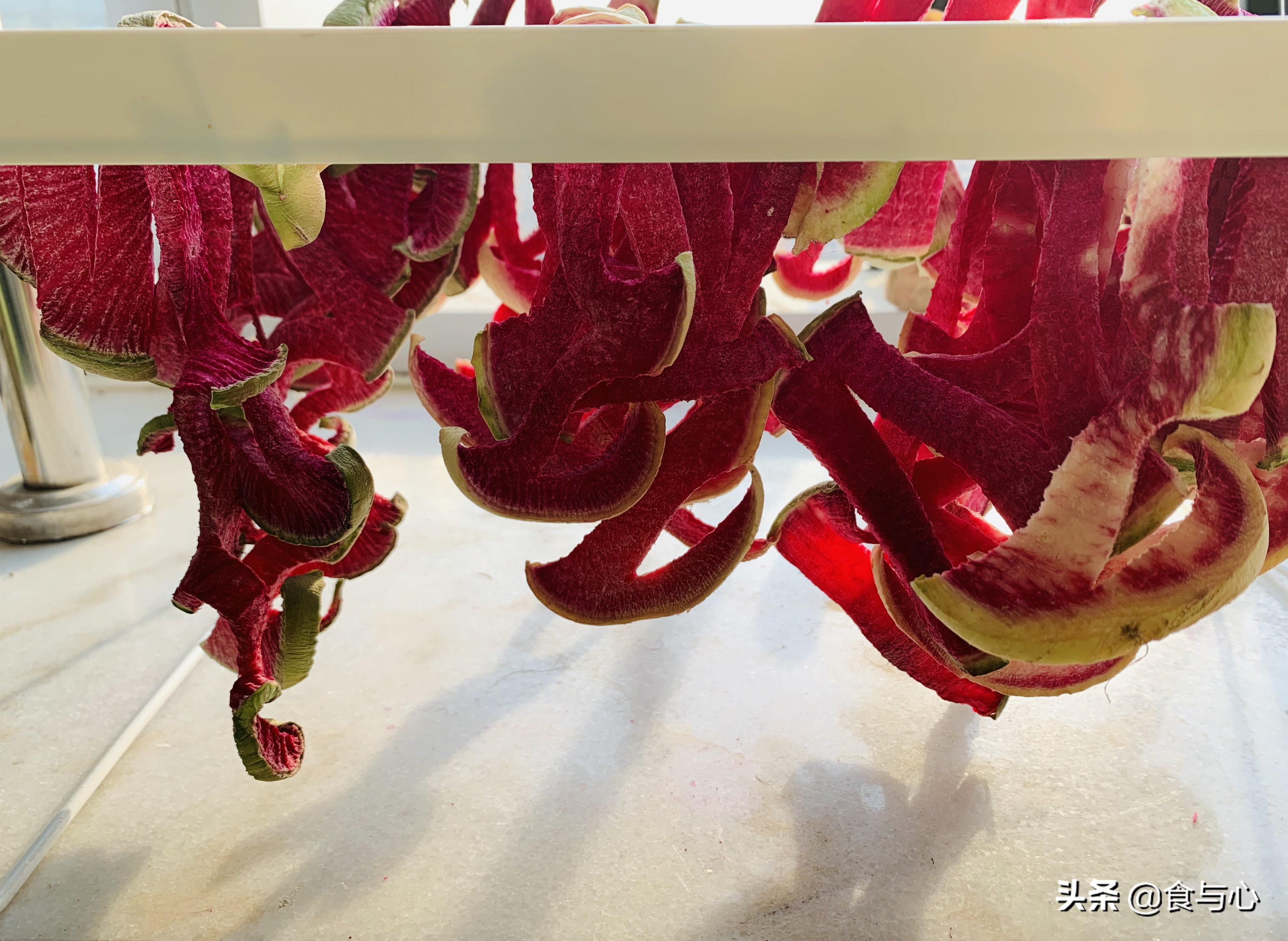 每日健康美食101种,一周健康营养美味食谱