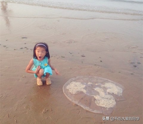 被宠物咬伤后要不要打免疫球蛋白,被宠物咬伤怎么办图片