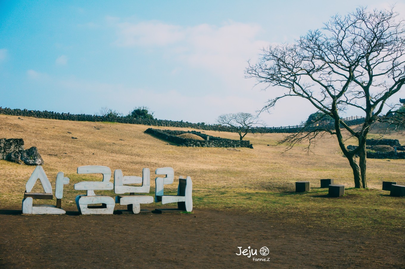 #嗨buy新罗#冬日,济州岛!想大声说遇见你有多幸运