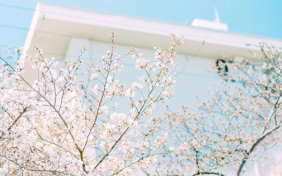 男友年纪大父母反对,男朋友大我十岁家长反对
