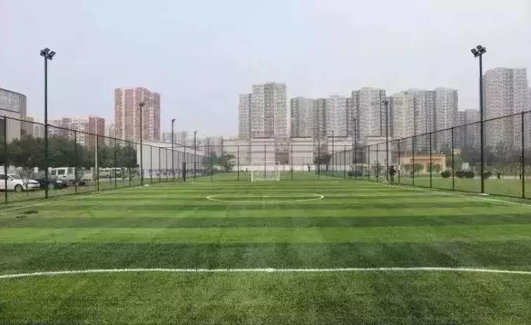 免费公园滑梯,六支沟滑滑梯公园