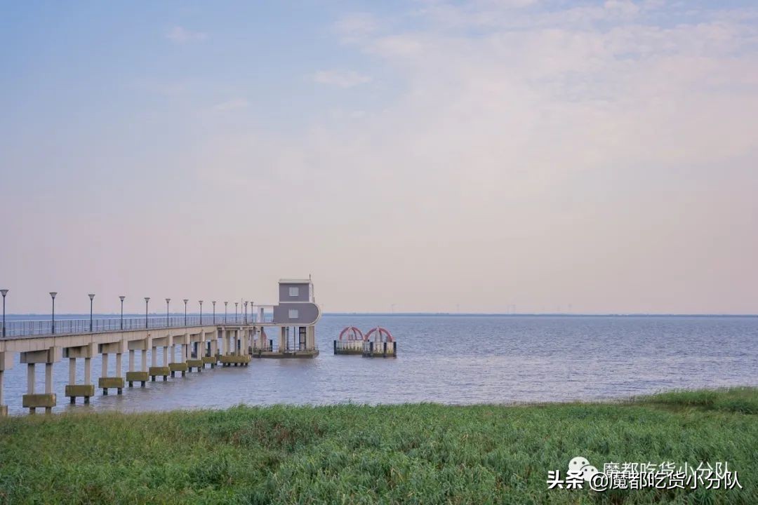 崇明岛地理位置独特,崇明岛过度开发