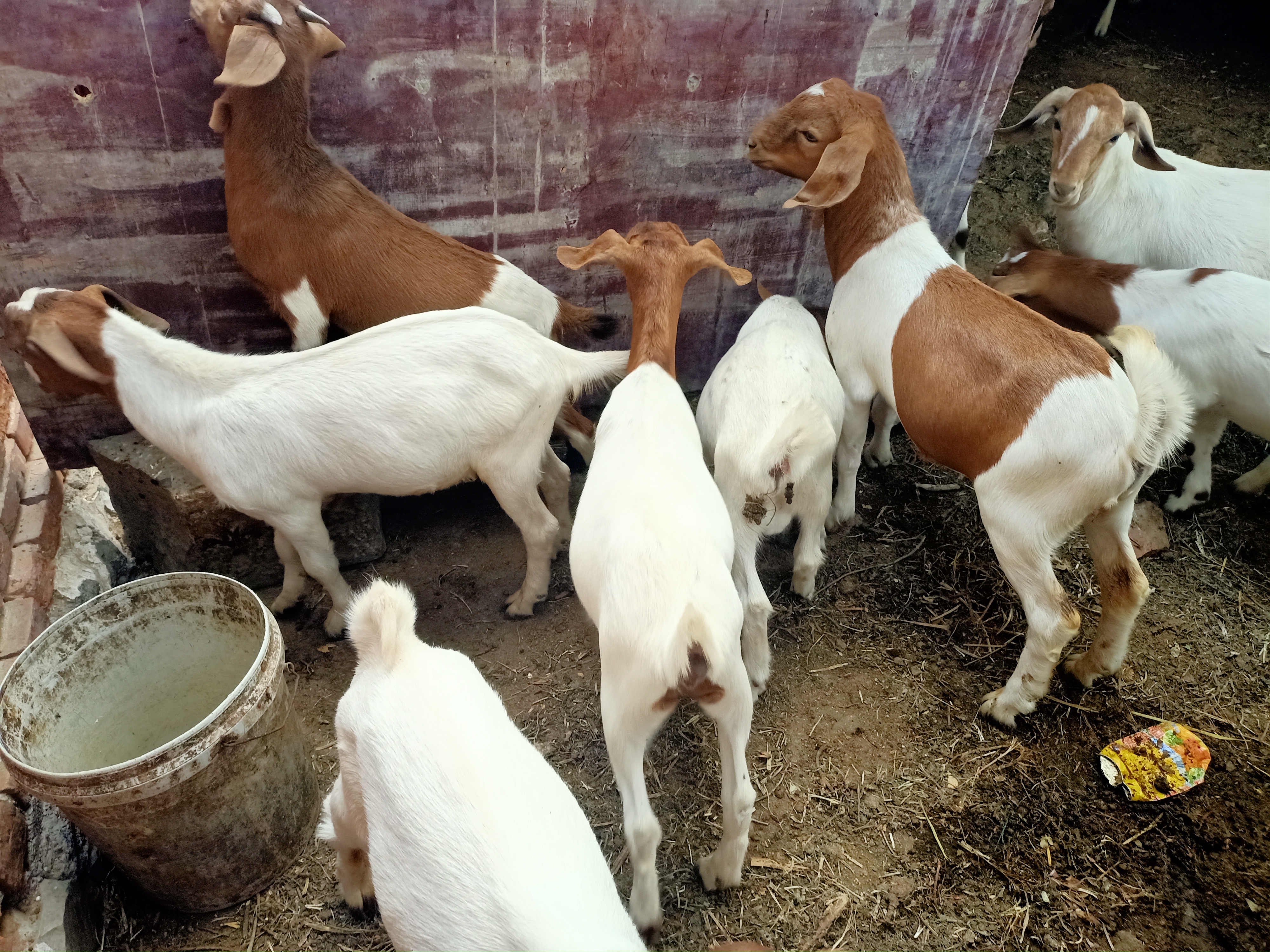 农民想搞小型养殖需什么手续,农村搞养殖场赚钱吗