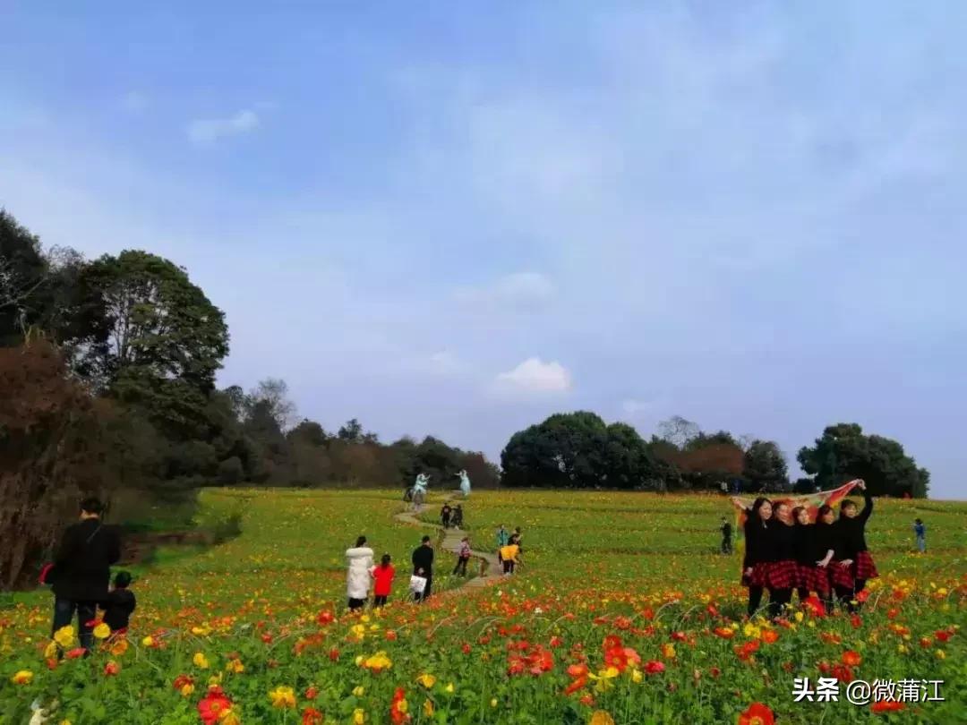 跟随央视《美丽中国》，一起去蒲江！一起去石象湖！