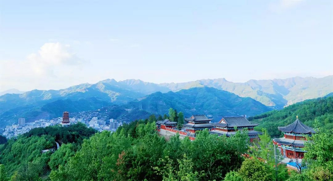 中茶和紫阳茶,紫阳的茶好还是平利的茶好