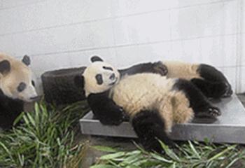 爬楼大赛是什么？来华为旗舰店寻找答案