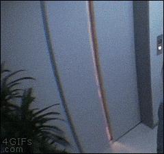 低调的搞笑动图,搞笑动图笑死人