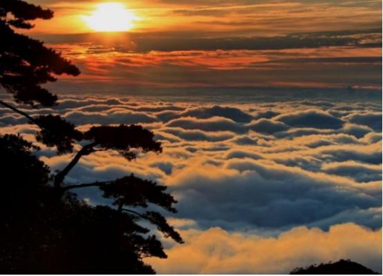 一起爬山吗我帮你拍照什么梗,一起去爬山我来拍照的图片