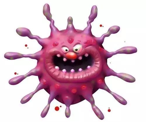 猫咪食物过敏的症状表现是什么,猫咪长期软便的危害