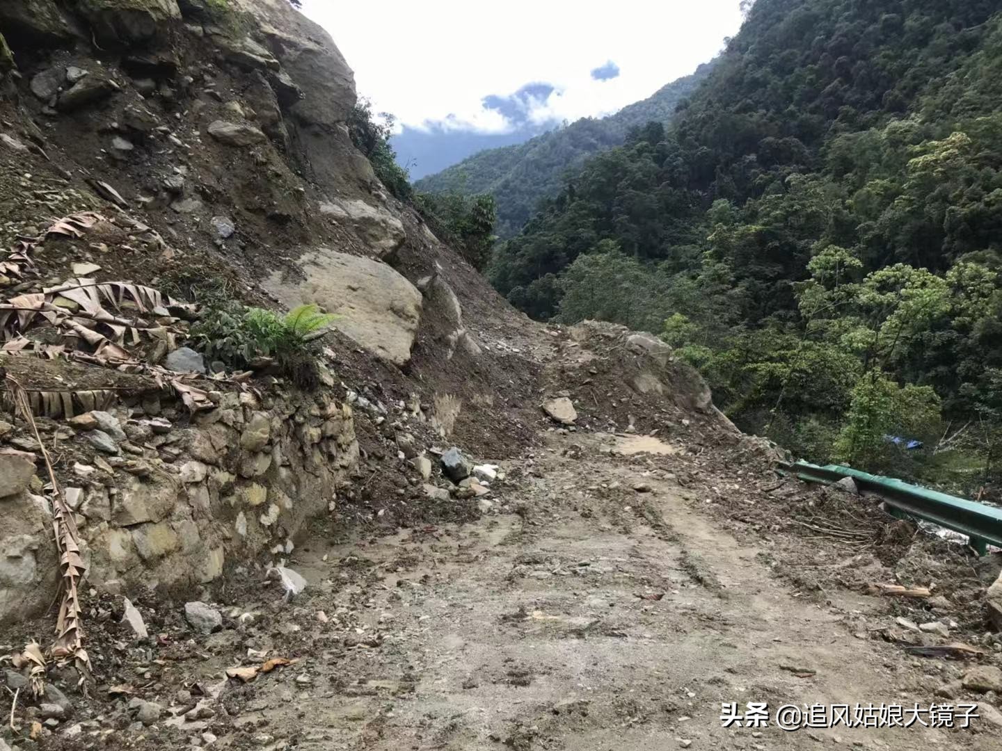 穿越原始的森林,穿越原始森林巨大蜈蚣