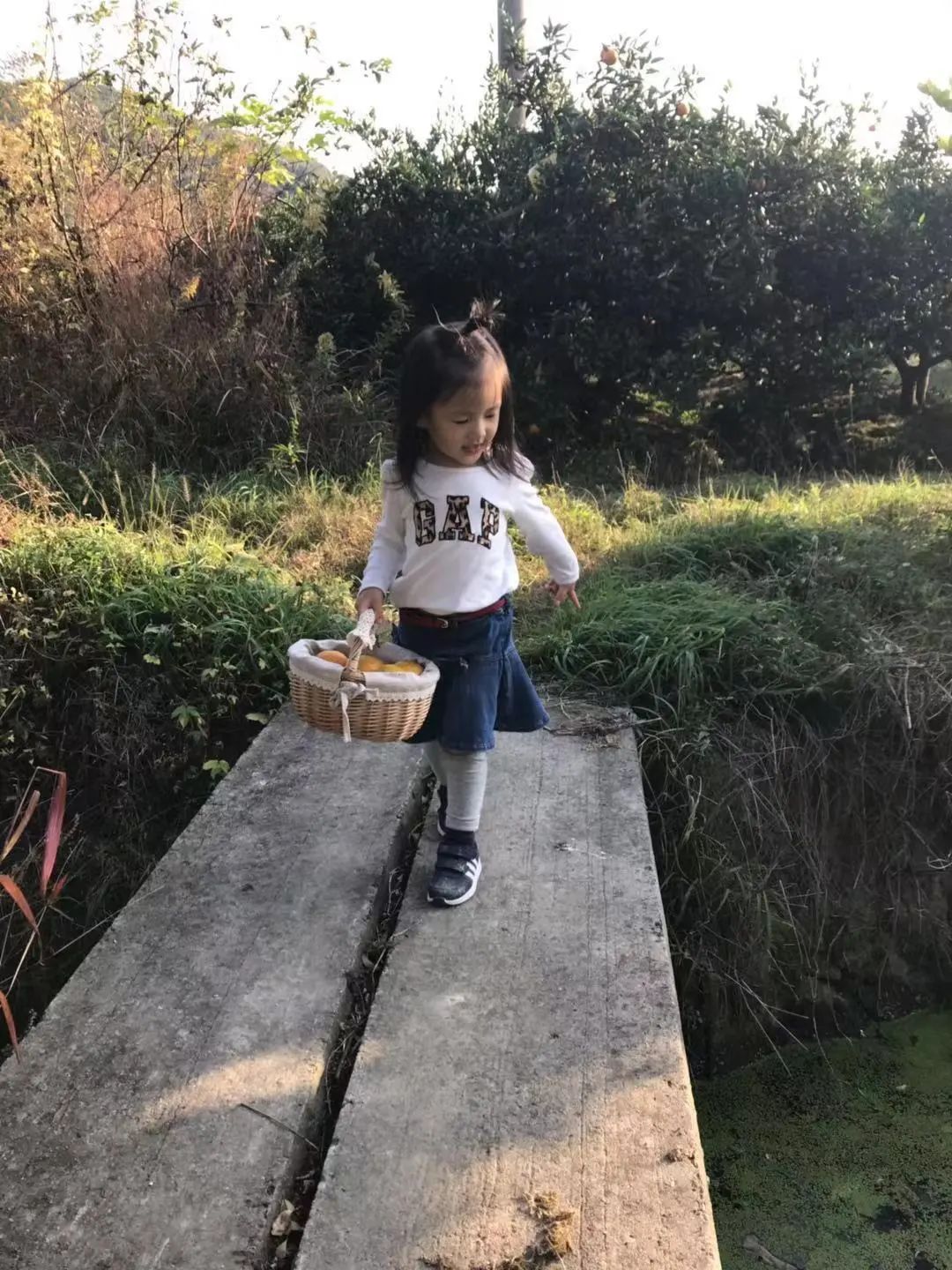 烧麦的工作日常,烧麦需要注意的事项