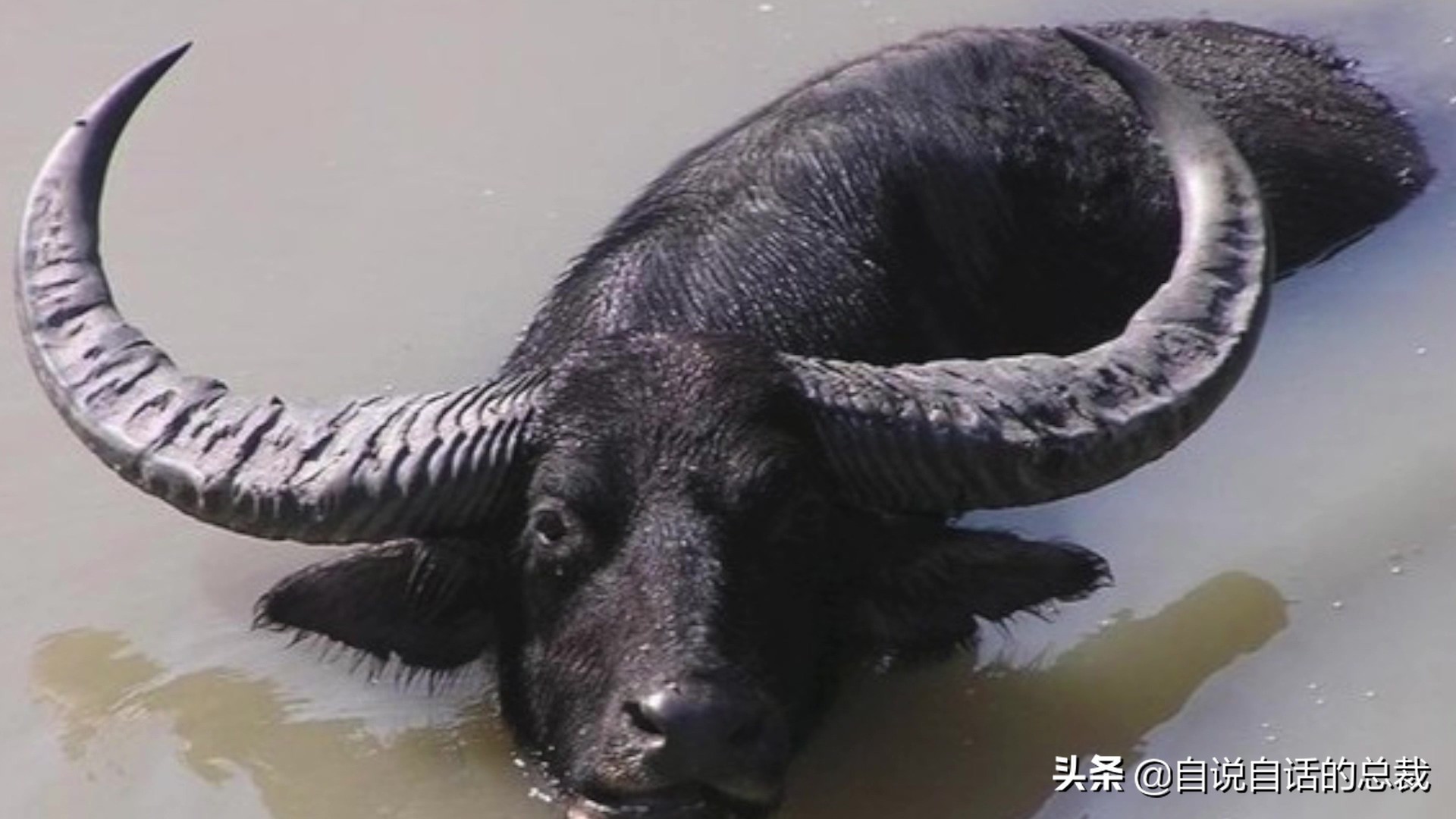 阿努纳奇创造人类7次文明,阿努纳奇人类起源