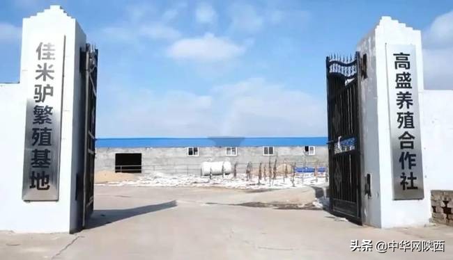 天上龙肉地下驴肉由来是谁说的,天上龙肉地下驴肉真的是毛驴肉吗