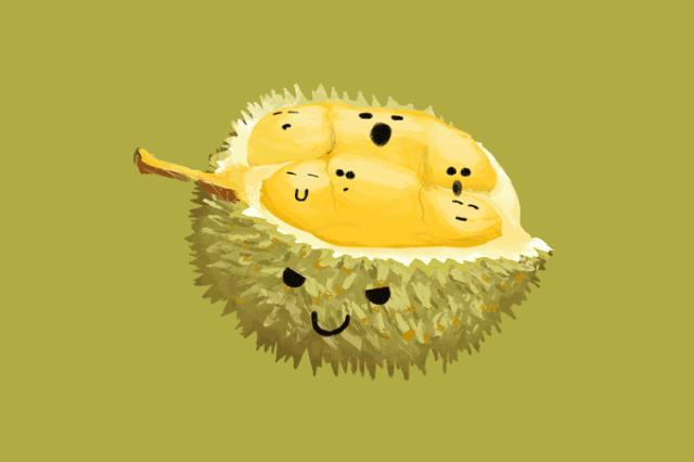 泰国最好的榴莲是什么榴莲,泰国榴莲与越南榴莲