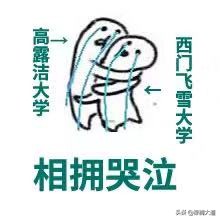 有哪些大学听起来像野鸡,北京野鸡大学有哪些学校