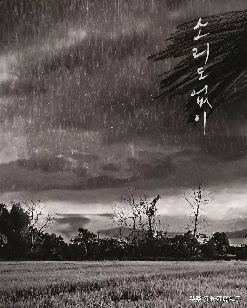 人气最旺的十部片,2020十部巅峰片