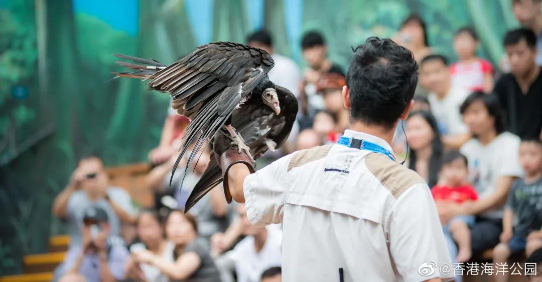 日照海洋公园闭园时间,海昌海洋公园开园闭园时间