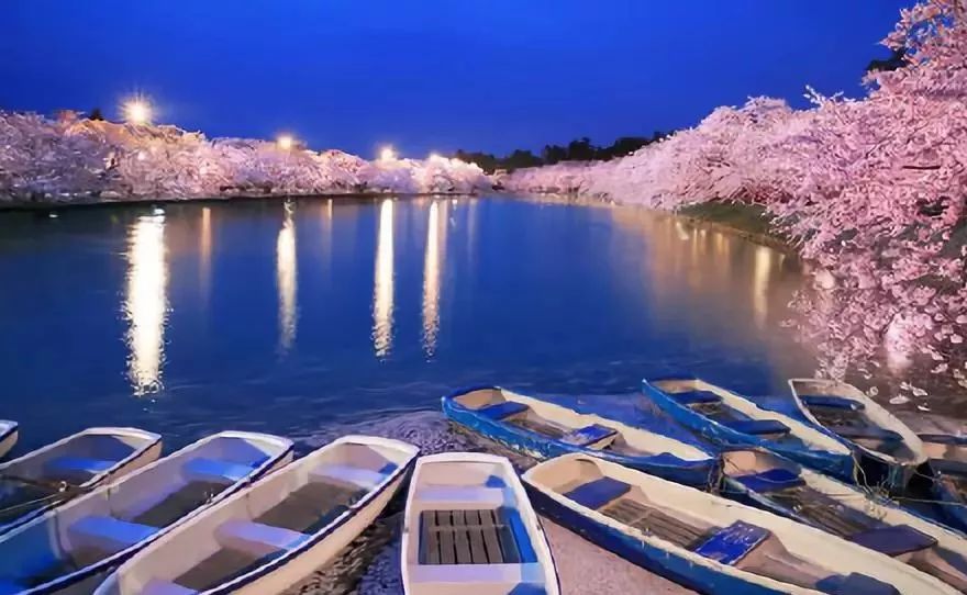 日本赏樱花前三名城市,日本樱花排行榜