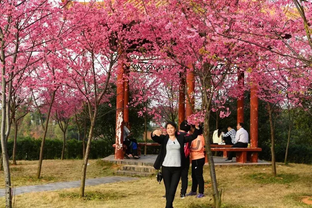 章贡区五龙客家风情园要不要门票,五龙客家风情园免票