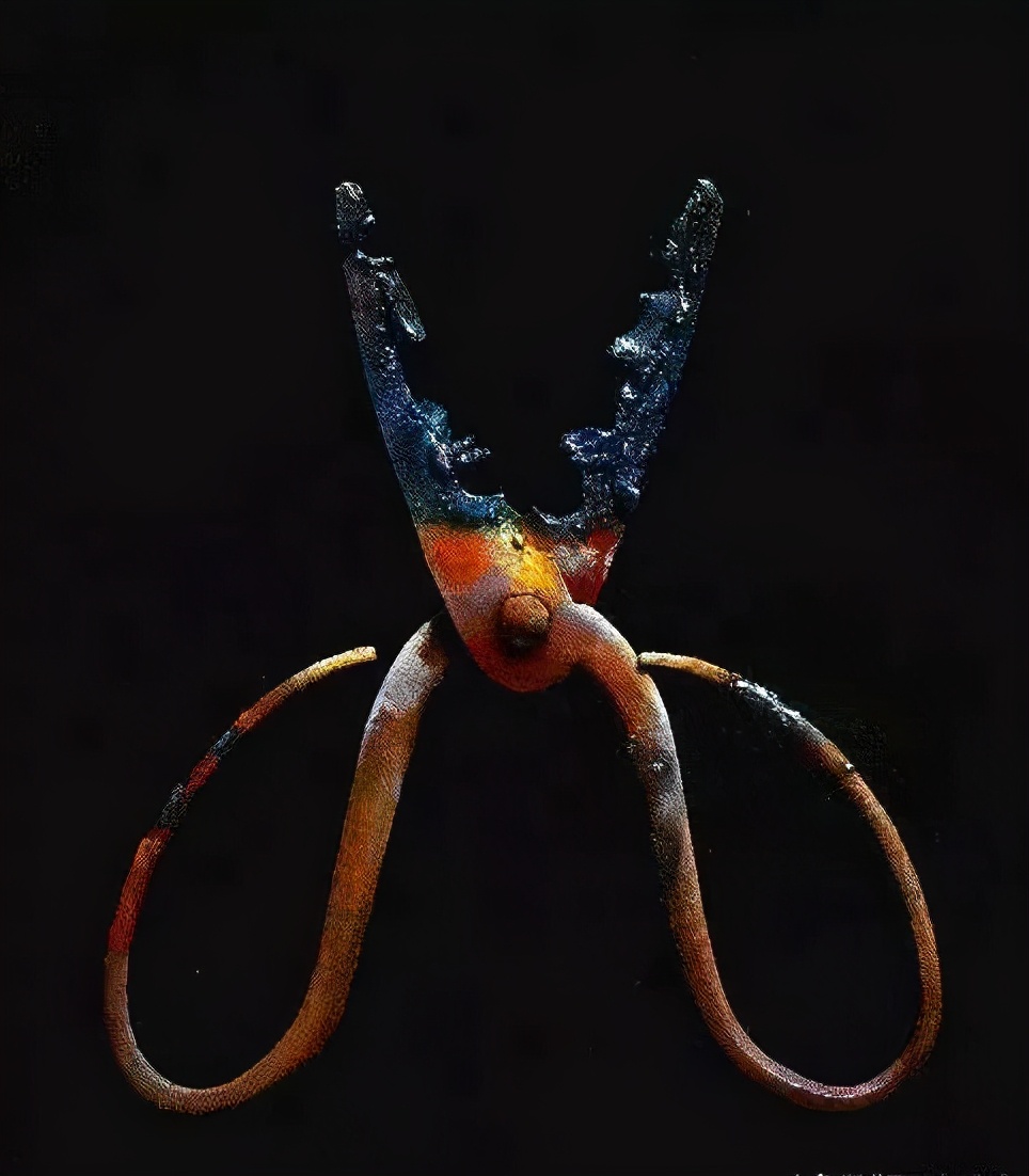 冷军最贵废旧铁桶,冷军烂铁桶图片