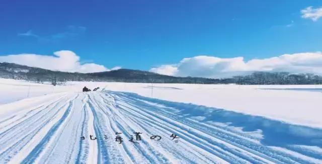 奔跑吧周年庆节目,奔跑吧四周年