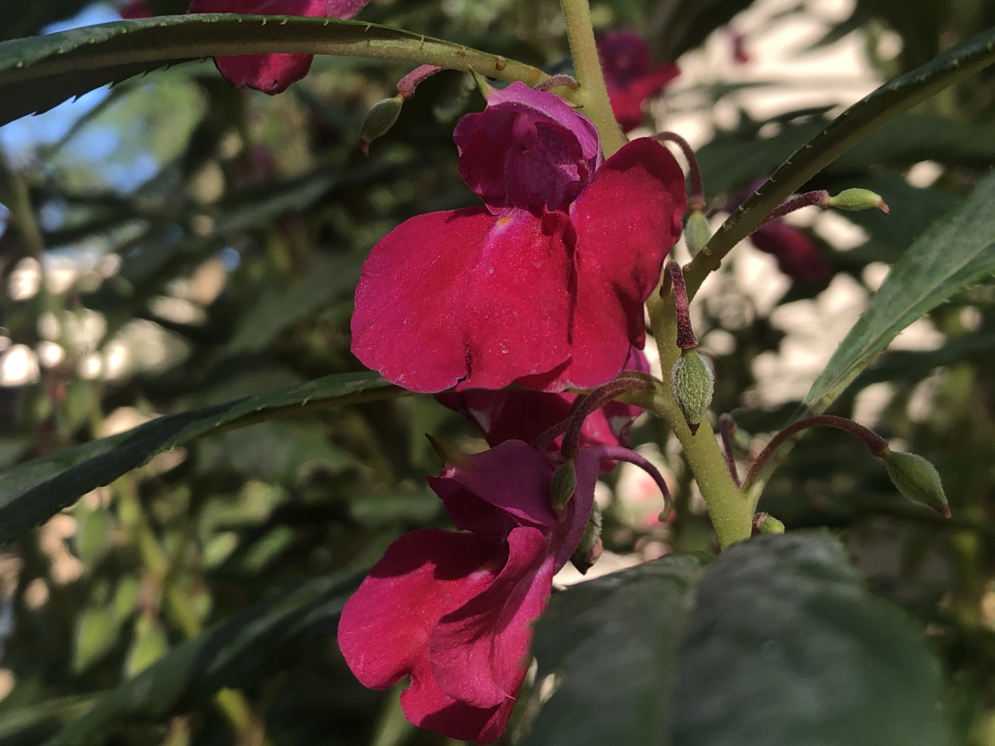 私募基金的管理者都是怎么操盘的,操盘手如何管理自己的业绩