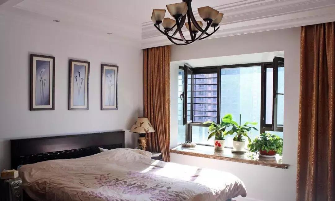 仓鼠小百科|你知道你睡的床上每天都有千万螨虫在吃你的皮屑吗