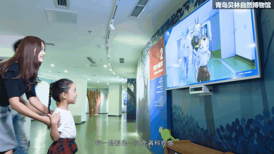青岛贝林自然博物馆,青岛贝林博物馆门票优惠政策