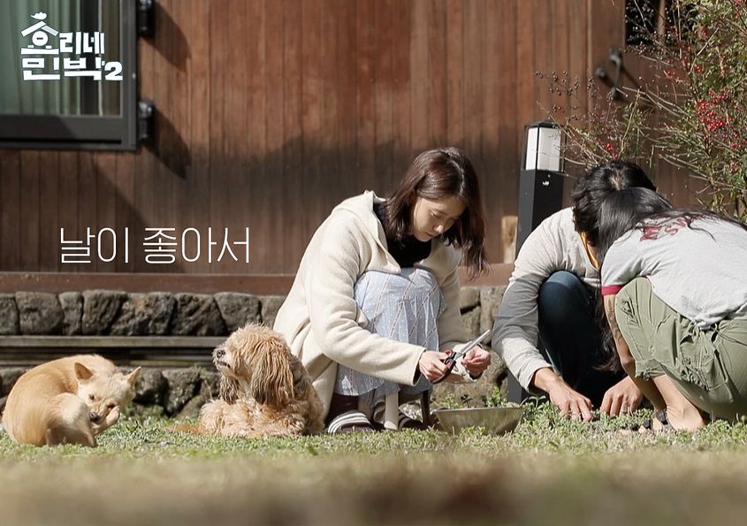 推荐好看的下饭综艺电视剧,下饭综艺推荐搞笑