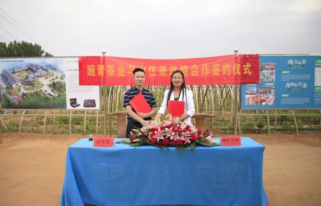 豌青茶业官方旗舰店,莒南县豌青茶业