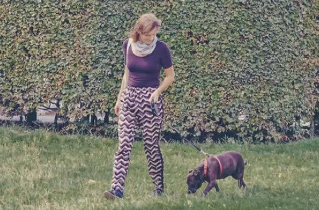 丹麦的美丽风景,丹麦最具特色的地方是什么