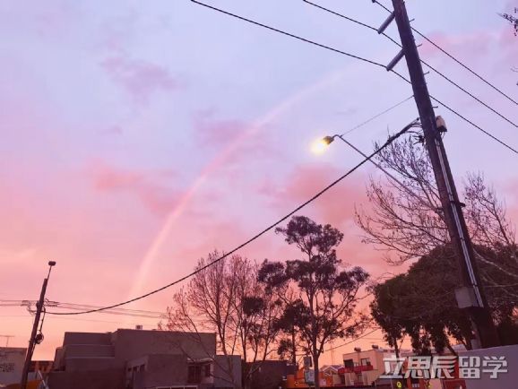 昆士兰大学好申请么,昆士兰大学中国留学生