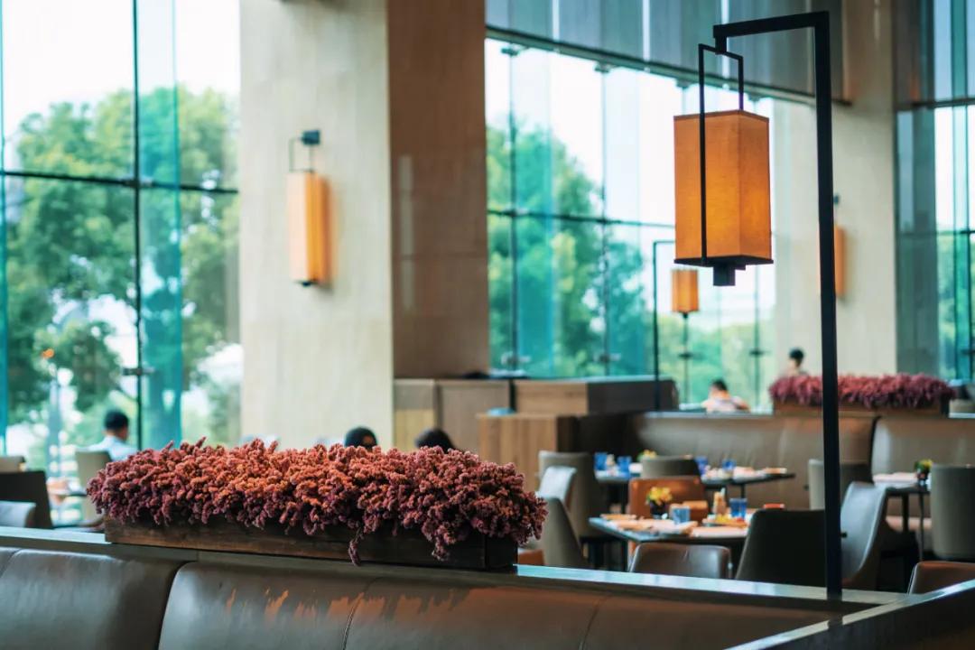 重庆酒店必住性价比高排行榜,我心目中性价比高的酒店