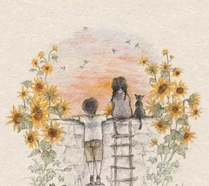 描写动物外貌作文,描写动物的形容词