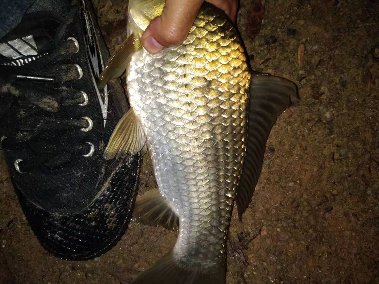 杞荤獫鎵撴硶,鎬庝箞鏍疯杞绘瘮閲嶇殑绐濇枡鍙樺ぇ姣旈噸