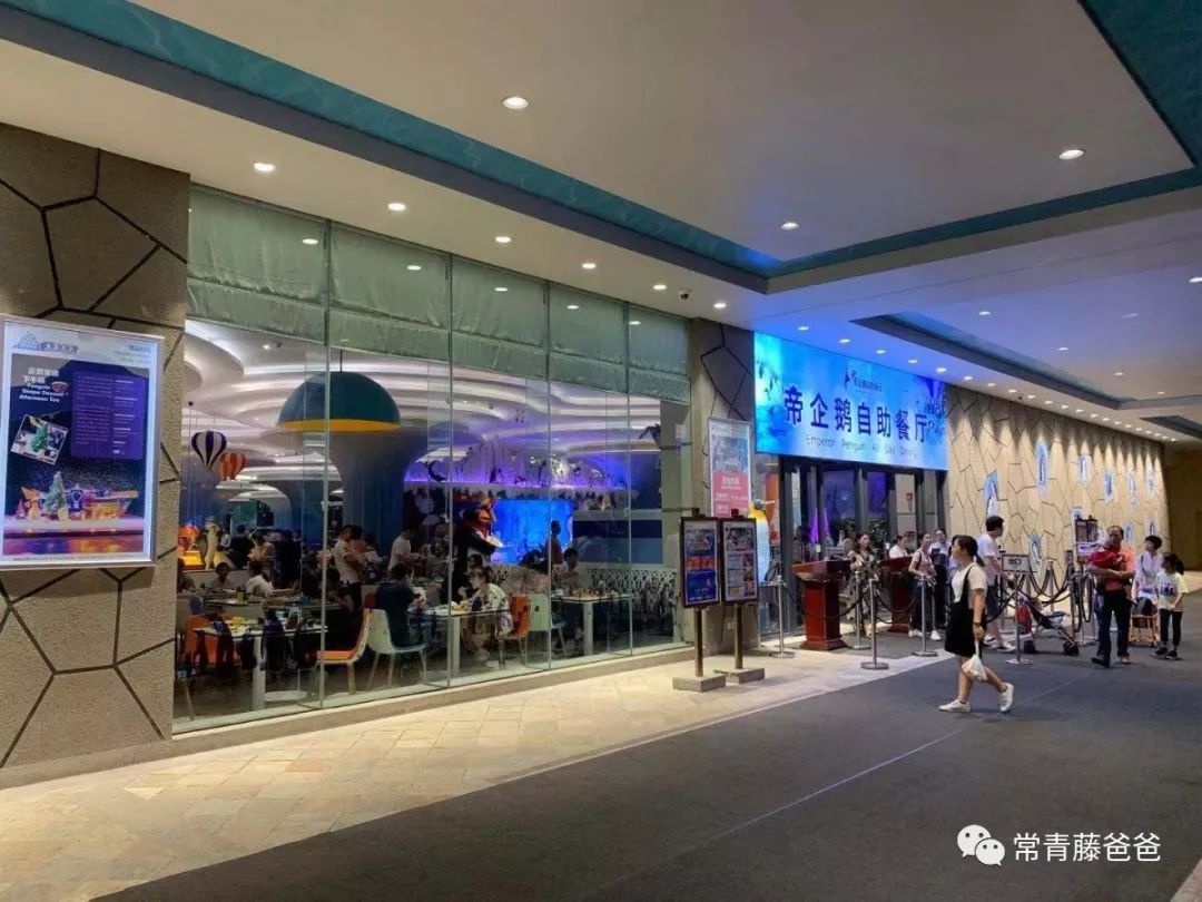 广州长隆游玩攻略水上乐园怎么去,过年去珠海长隆海洋王国游玩攻略