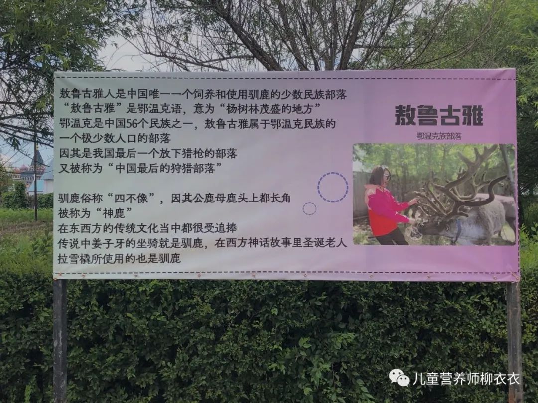 暑假带孩子内蒙古旅游攻略,暑期内蒙古亲子游鄂尔多斯