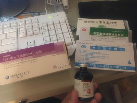 猫咪咬臭屁虫,猫咪咬人被铲屎官教育