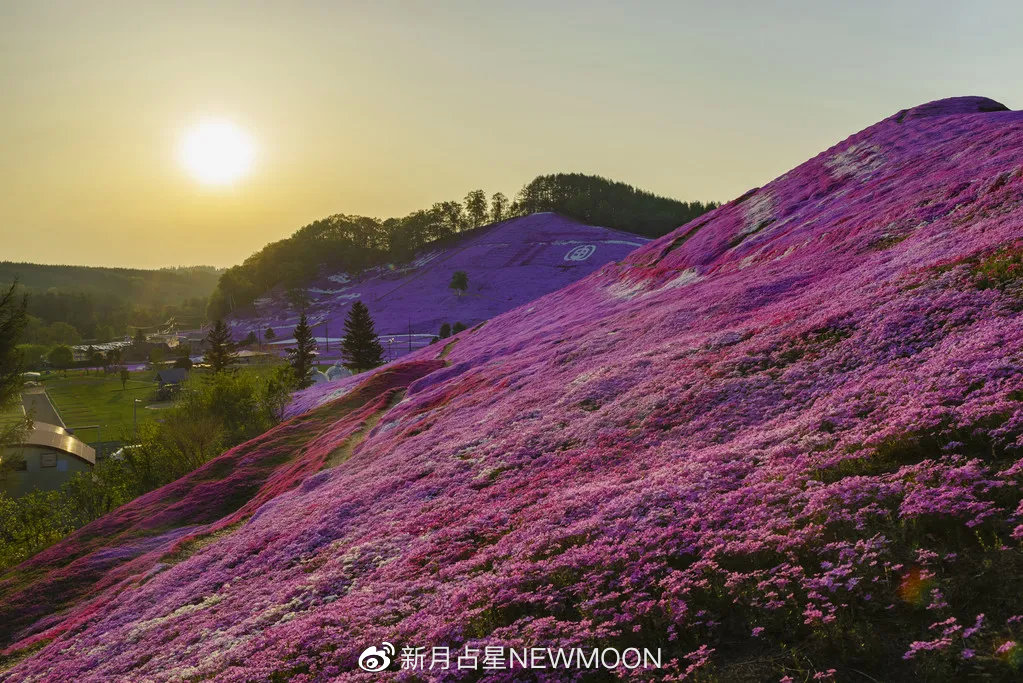 “金天蝎是信任他人,金金牛是被他人信任”|7款金星的真实心声