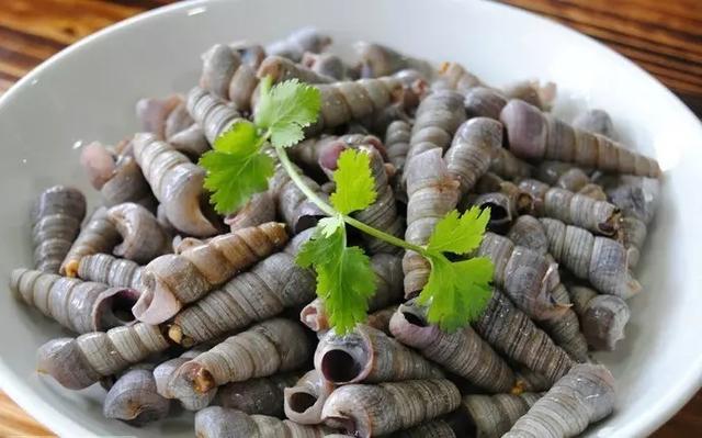 史上最全海鲜视频,史上最全海鲜贝类大全