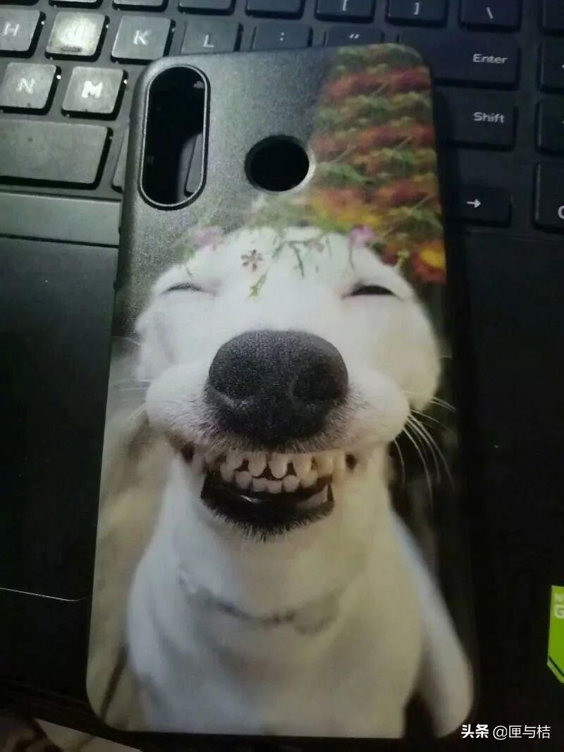 儿子心理有问题怎么办,儿子心理有毛病怎么办