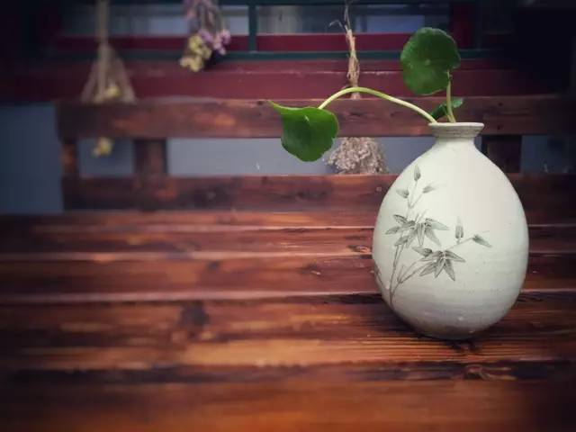 梦想改造家小户型,农村庭院改造效果图大全