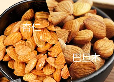 巴旦木是什么杏,什么是巴旦木